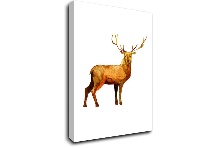 Deer Delight Canvas Wall Art