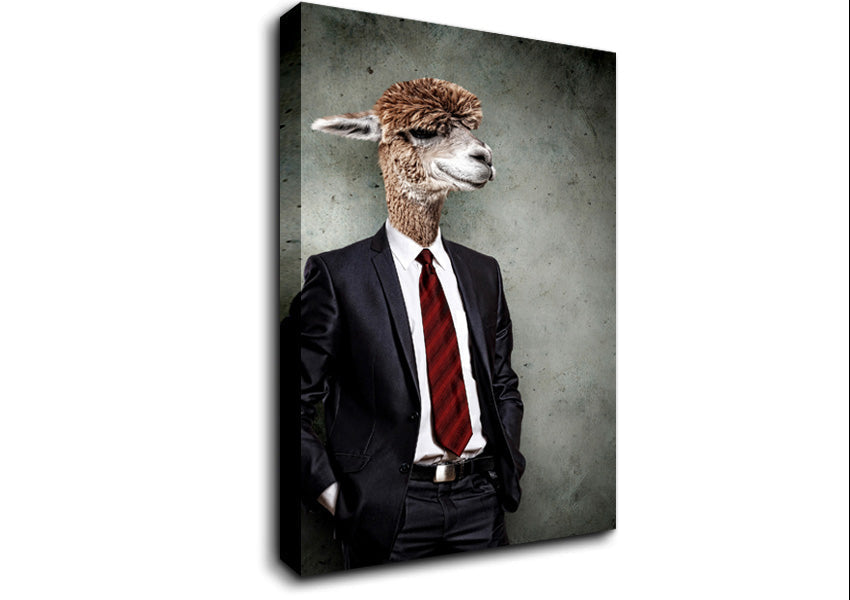 Business Llama Canvas Wall Art