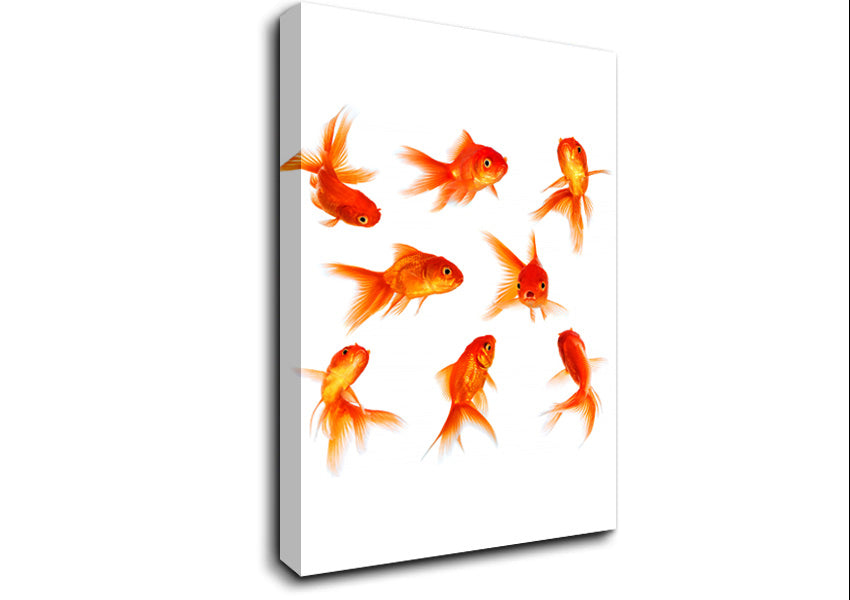Goldfish Party Canvas Wall Art