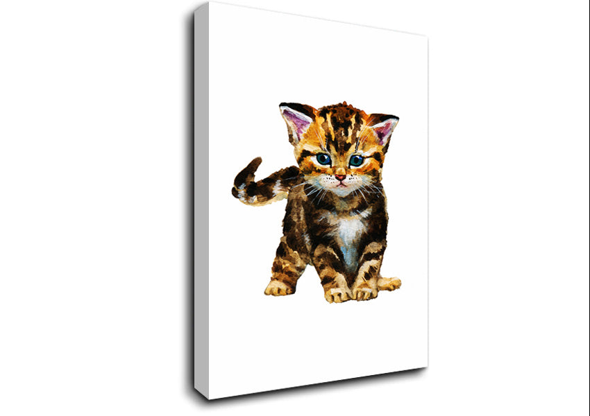 Tabby Kitten Cat Canvas Wall Art