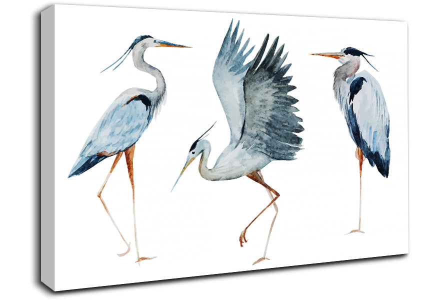 Heron Trio Canvas Wall Art