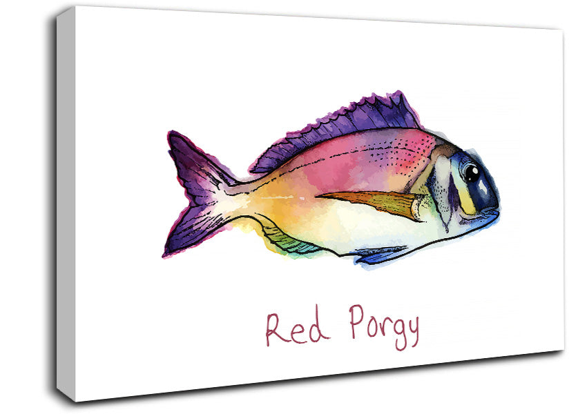 Red Porgy Rainbow Canvas Wall Art