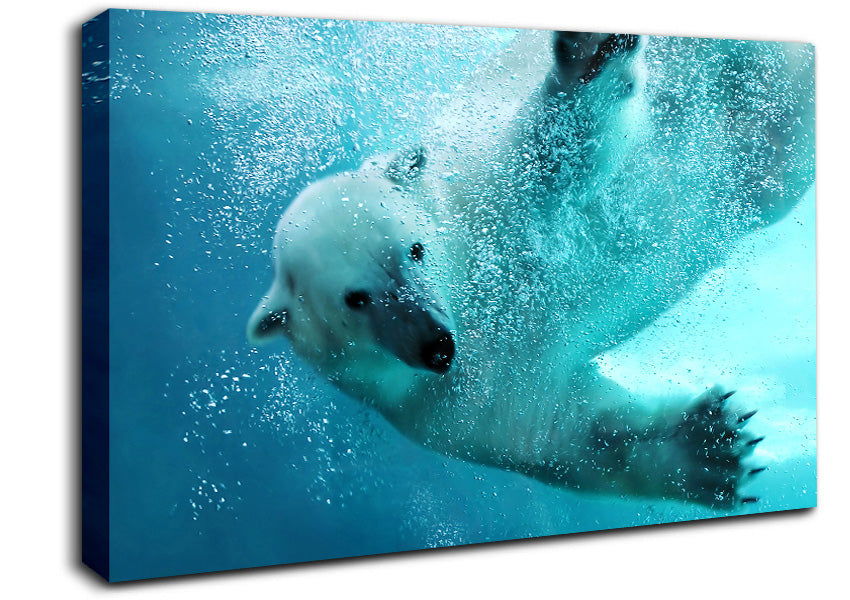 Polar Bear Swim Canvas Wall Art
