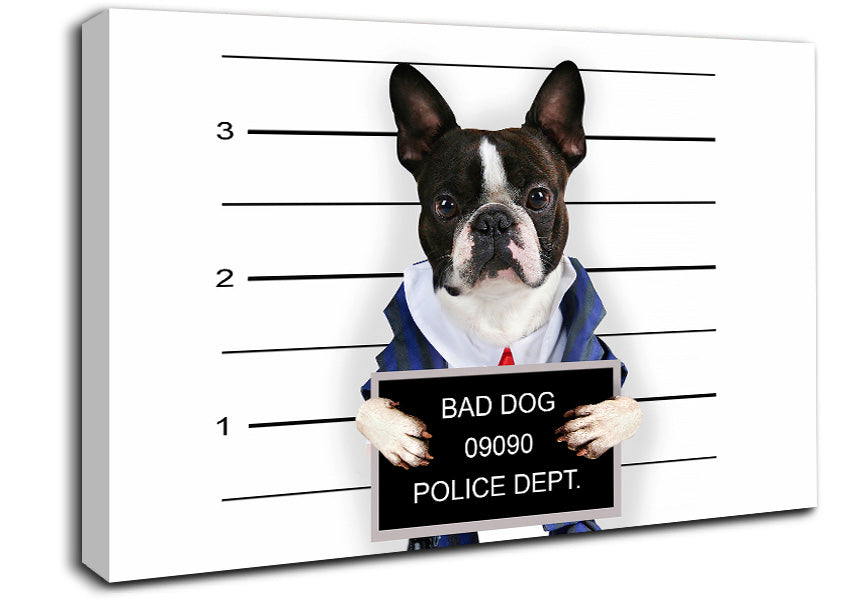 Naughty French Bulldog Canvas Wall Art