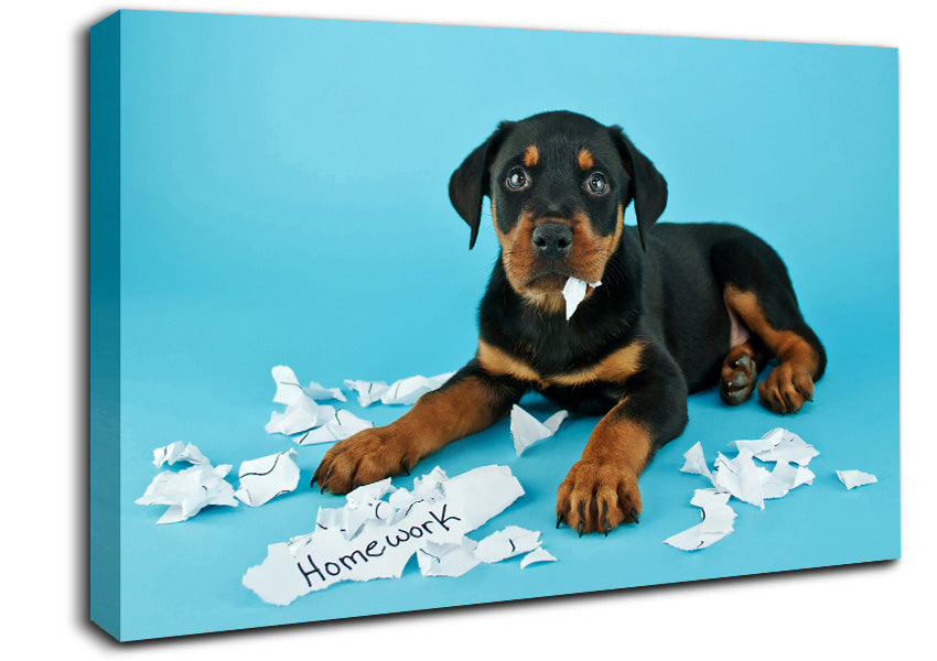 Naughty Rottweiler Puppy Dog Canvas Wall Art