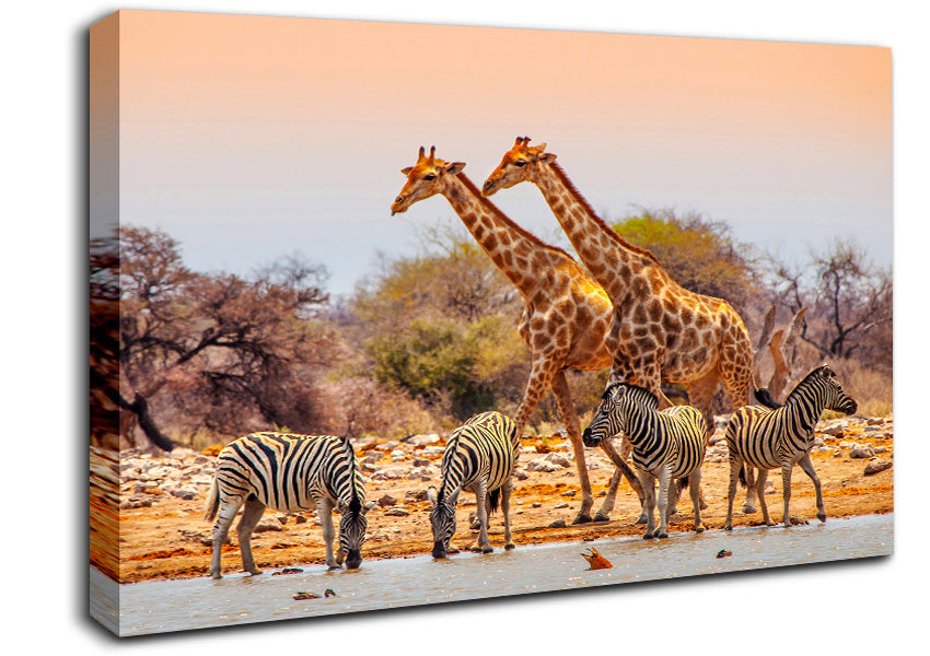 Safari Watering hole Canvas Wall Art