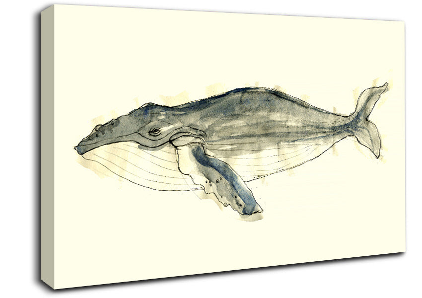 Humpback Whale Canvas Wall Art