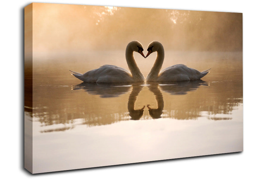 Swan Lake Love Canvas Wall Art