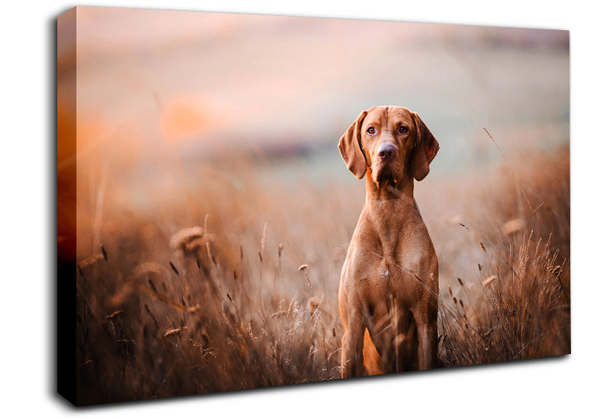 Dog Obedience Canvas Wall Art