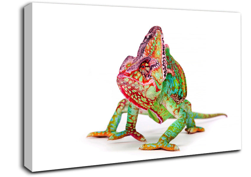 Chameleon Walk Canvas Wall Art