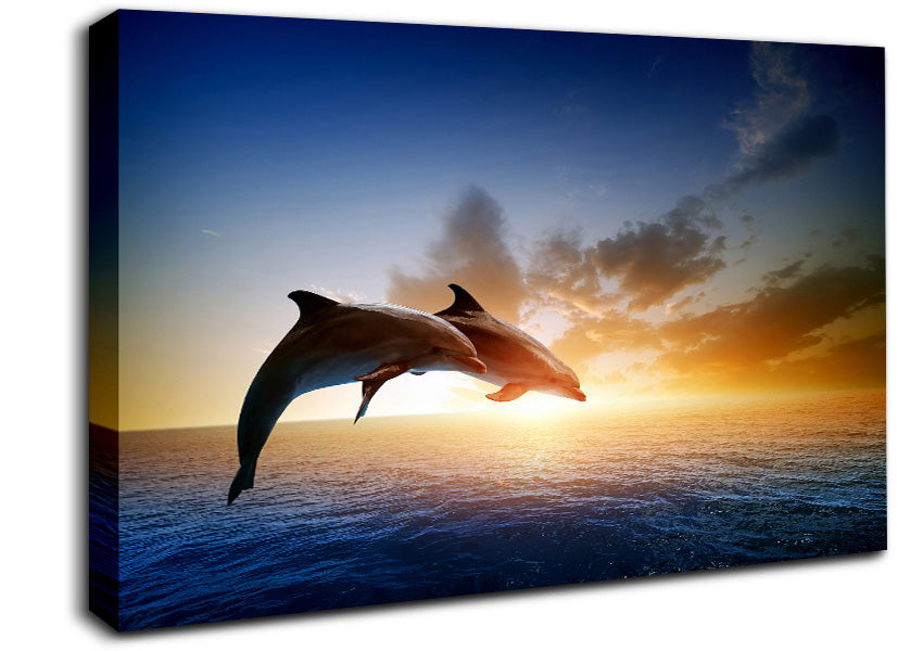 Jumping Sunset Dolphins Canvas Wall Art