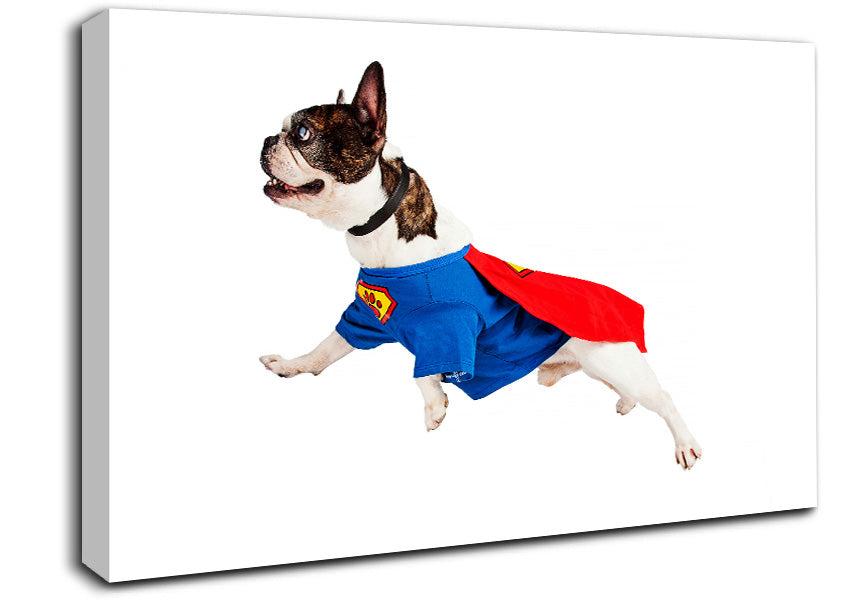 Super Dog Canvas Wall Art