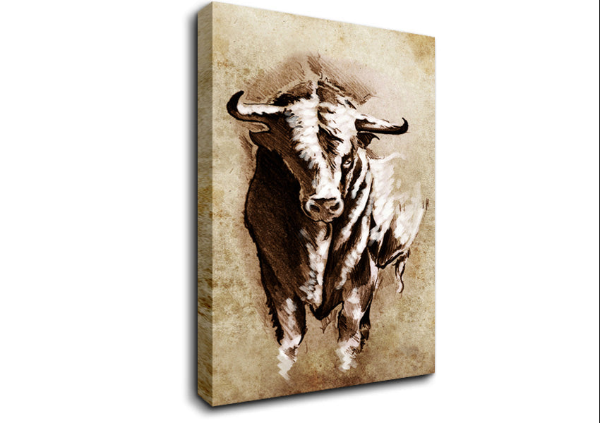 Bull Stare Canvas Wall Art