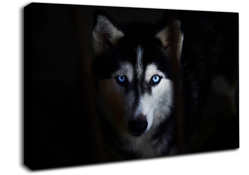 Husky Dog Wolf Face Canvas Wall Art