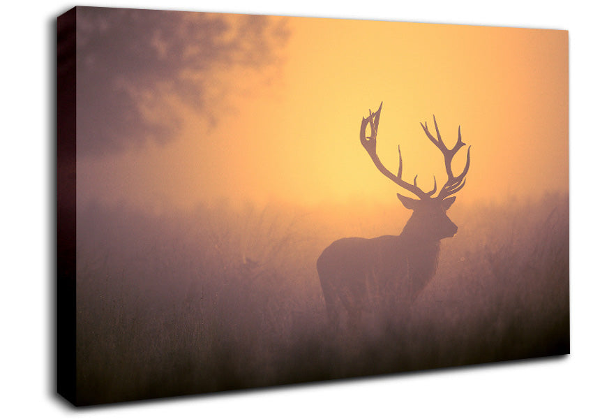 Sunset Stag Canvas Wall Art