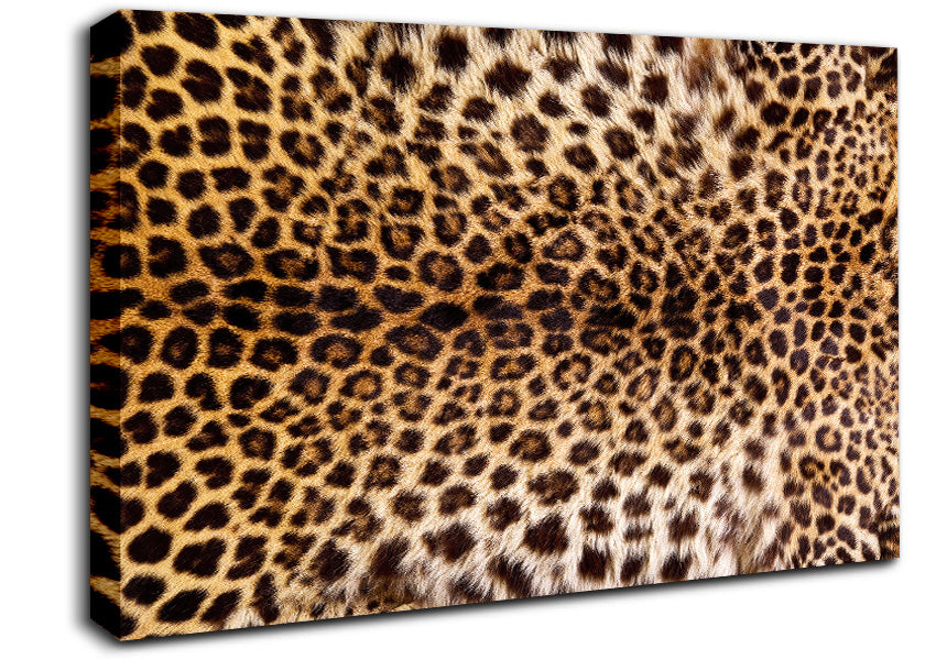 Cheetah Markings Canvas Wall Art