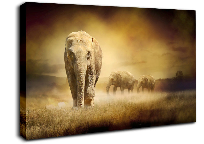 Stunning Elephant Pride Canvas Wall Art