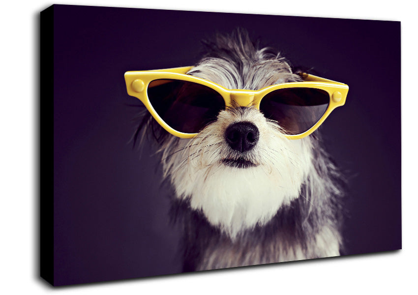 Sunglasses Dog Pooch Canvas Wall Art