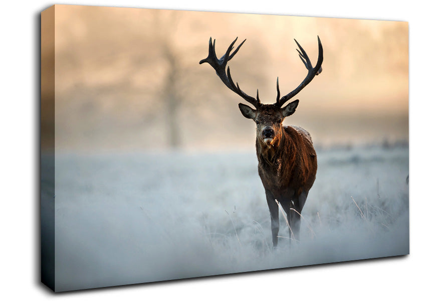 Beautiful Winter Stag Canvas Wall Art