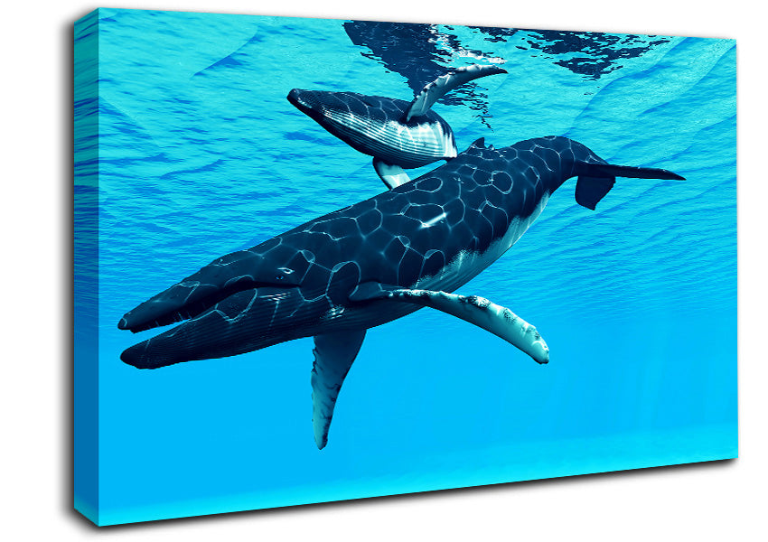 Whale Fun Canvas Wall Art