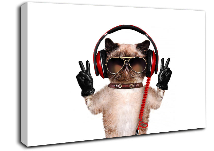 Musical Peace Cat Canvas Wall Art