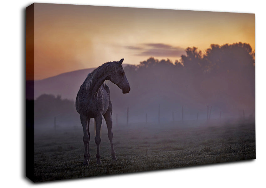 Sunrise Horse Canvas Wall Art