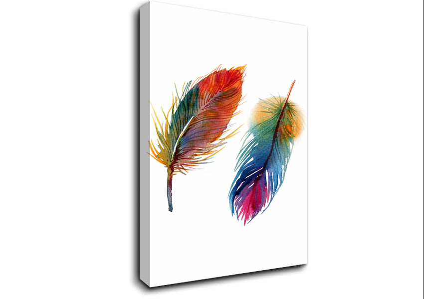 Rainbow Feathers Canvas Wall Art