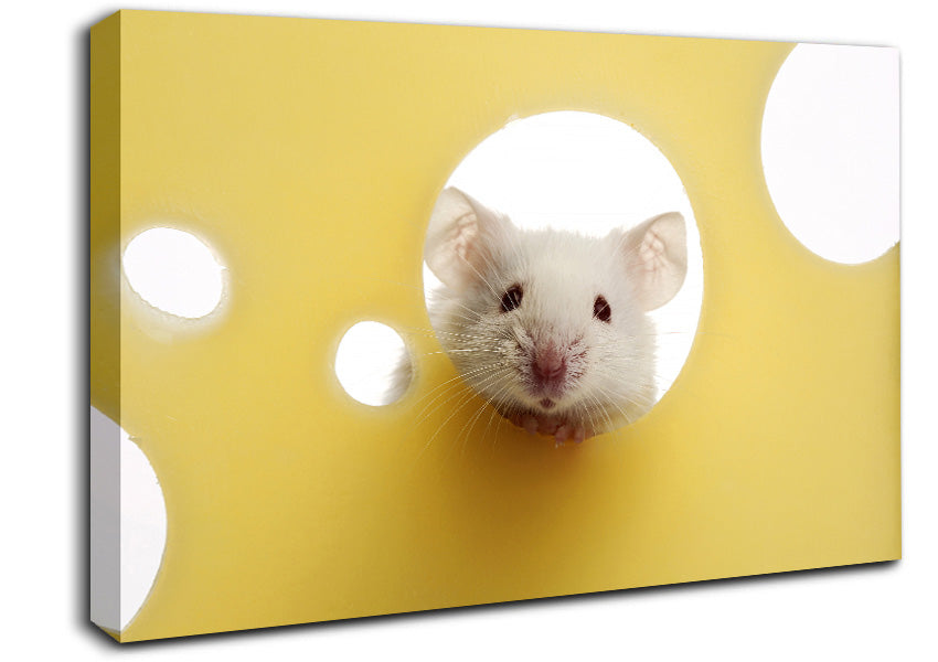 Cheesy Mouse Canvas Wall Art
