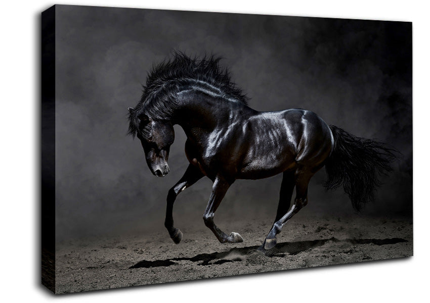 Black Beauty Horse Canvas Wall Art
