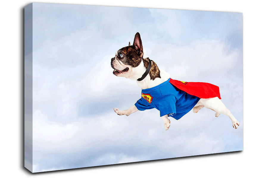 Super Dog Skies Canvas Wall Art