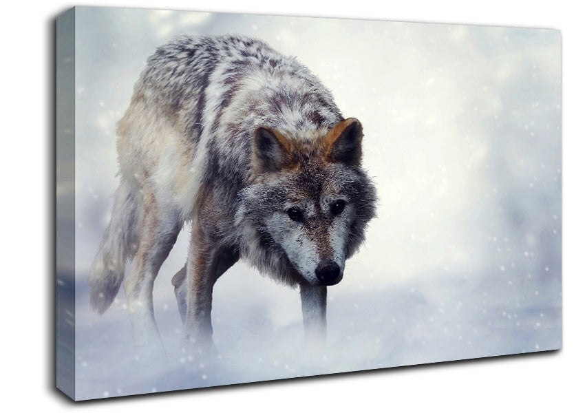 Prowling Wolf Canvas Wall Art