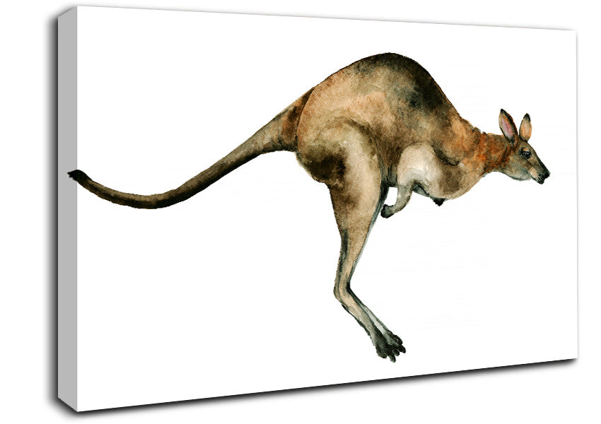 Kangaroo Hop Canvas Wall Art
