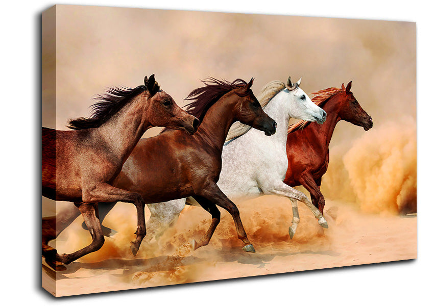 Horse Stampede Canvas Wall Art