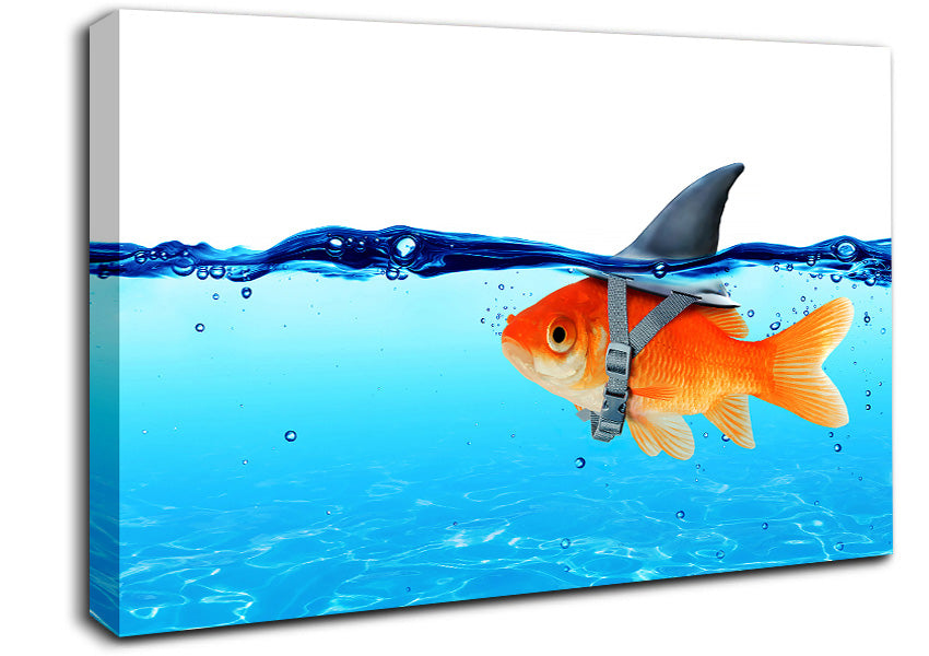 Goldfish Shark Canvas Wall Art
