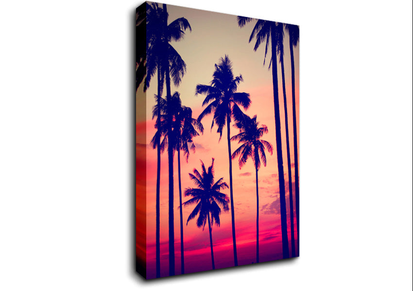 Californian Palm Trees Canvas Wall Art