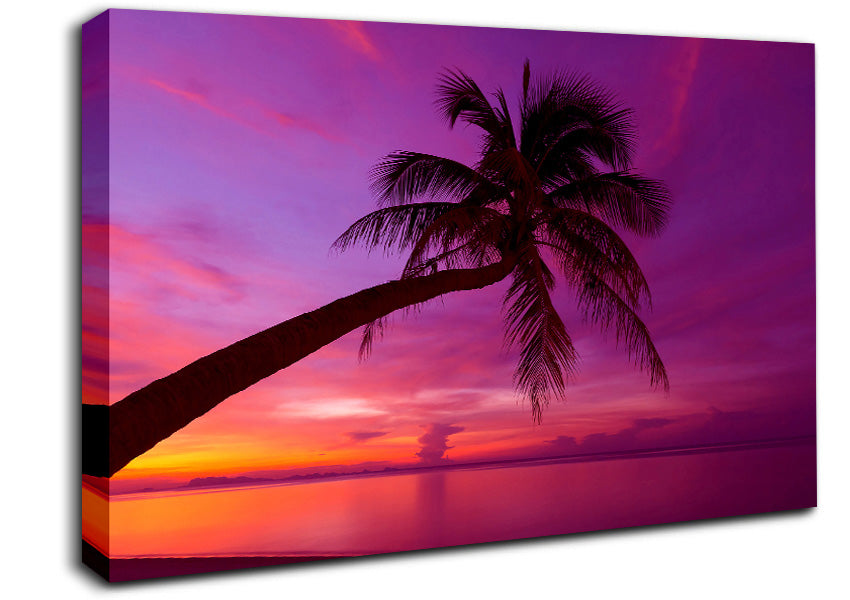 Palm Tree Skies Canvas Wall Art