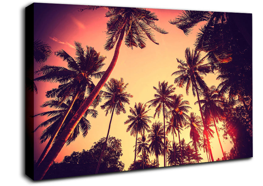 Just Palm Trees Canvas Wall Art
