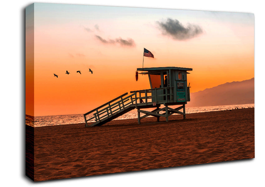 Birds Of Paradise Canvas Wall Art