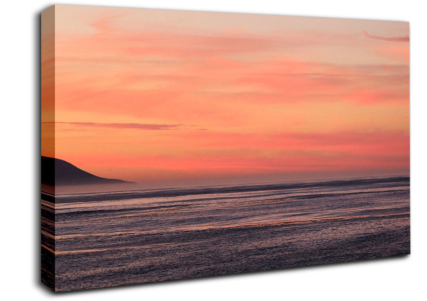 Pink Skies Canvas Wall Art