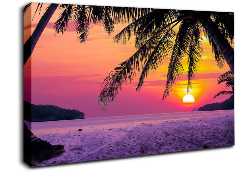 Between The Palm Trees Canvas Wall Art