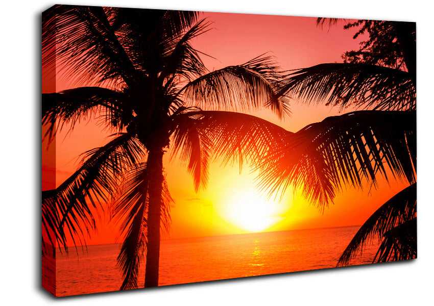 Sun Between The Palm Trees Canvas Wall Art