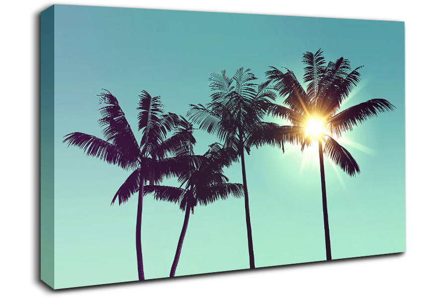 Sun Through The Palm Tree Skies Canvas Wall Art