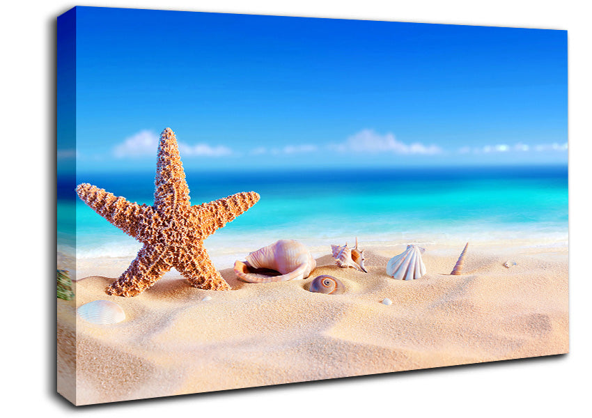 Shells In The Ocean Sands Canvas Wall Art