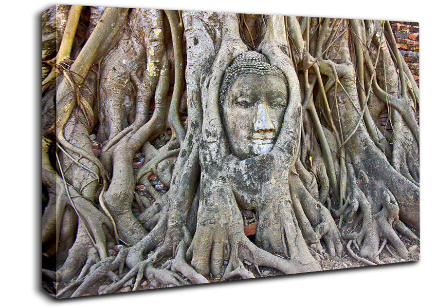 Buddha 21 Canvas Wall Art