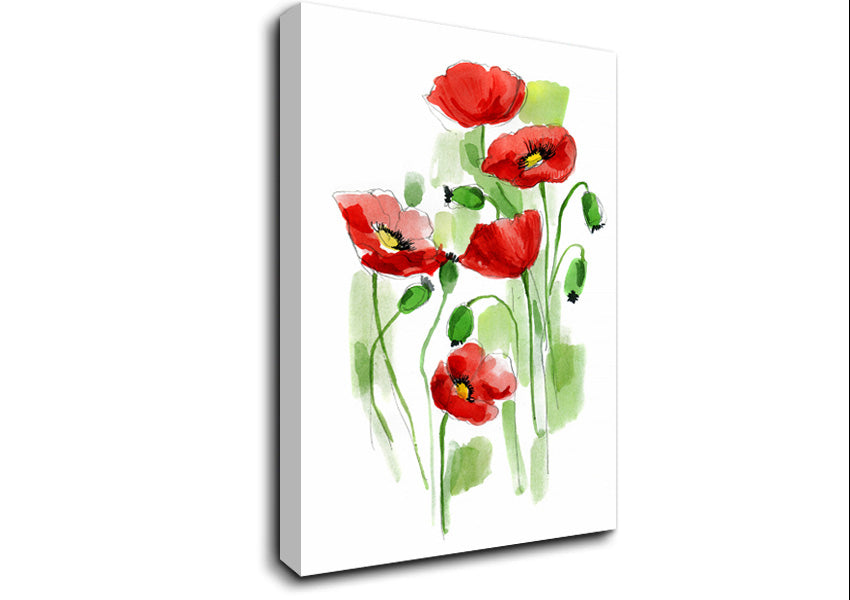 Poppies In Bloom Canvas Wall Art