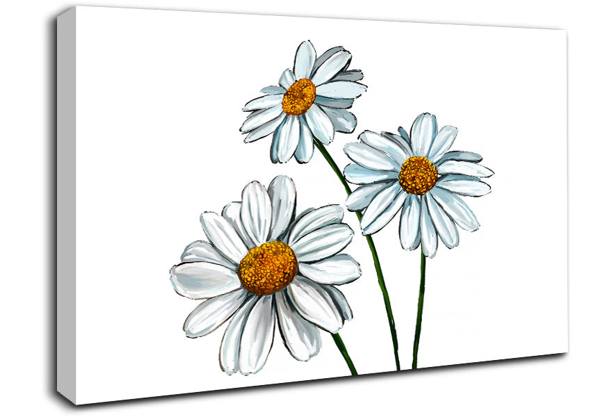 White Daisy Trio Canvas Wall Art
