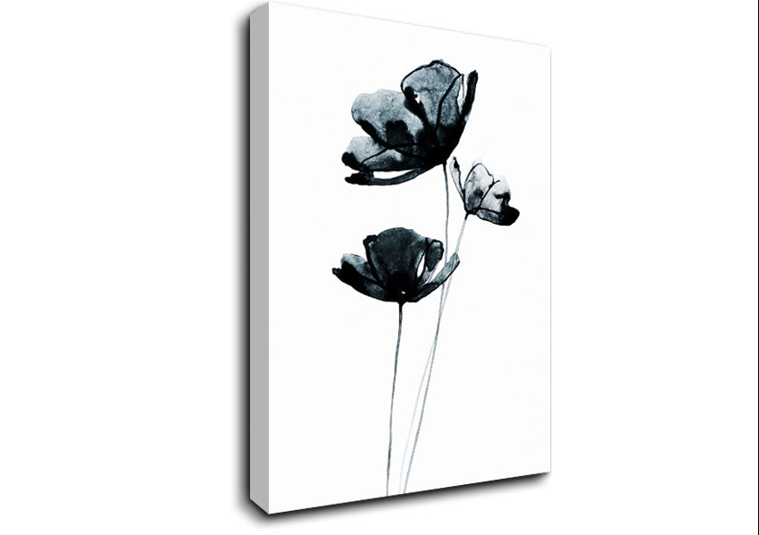 Black Poppy Abstract Canvas Wall Art