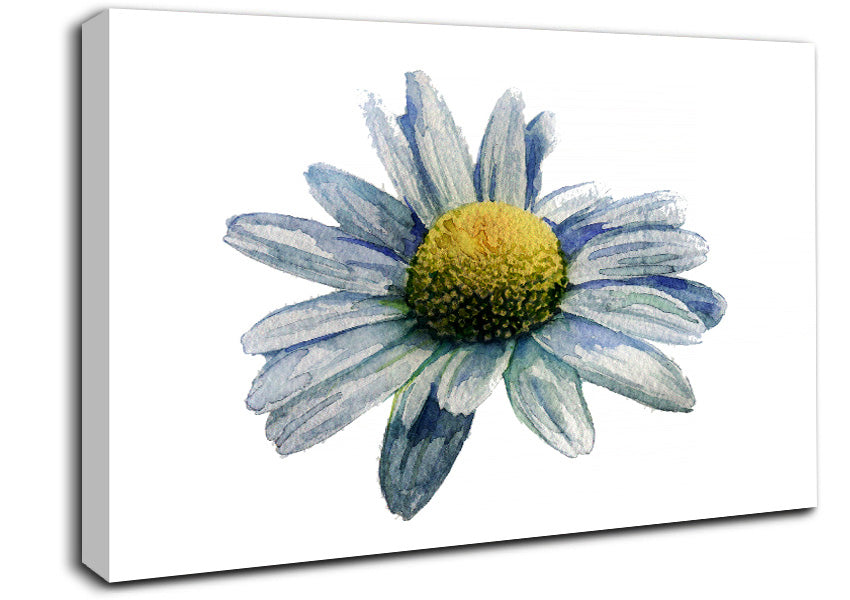 Single Daisy Head Canvas Wall Art