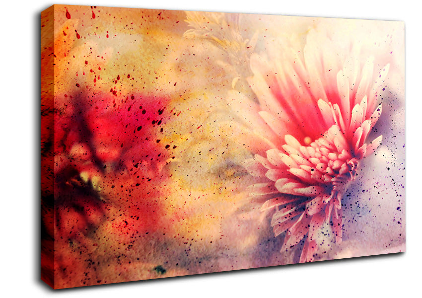 Pink Splash Canvas Wall Art