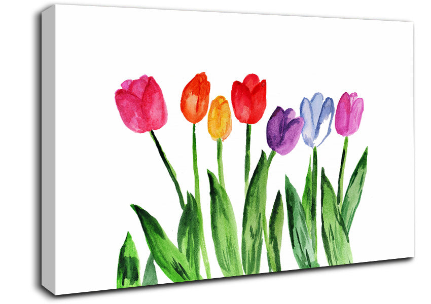 Tulip Rainbow Canvas Wall Art